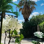 Grand De 4 Etoiles 4* Nîmes